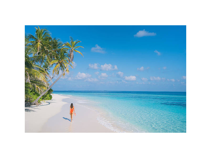 Maldive - Wild Paradise